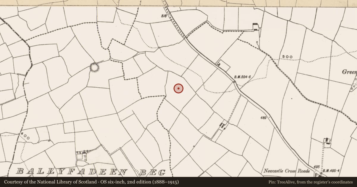 Ordnance Survey six-inch map, 2nd edition (1888–1915) covering the location of Fulacht fia, Newcastle, County Cork, with a pin at the register's coordinates
