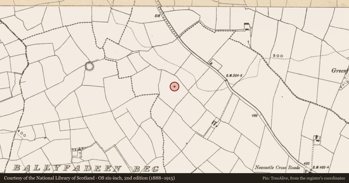 Ordnance Survey six-inch map, 2nd edition (1888–1915) covering the location of Fulacht fia, Newcastle, County Cork, with a pin at the register's coordinates