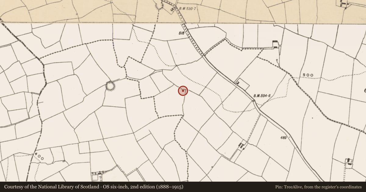 Ordnance Survey six-inch map, 2nd edition (1888–1915) covering the location of Fulacht fia, Newcastle, County Cork, with a pin at the register's coordinates