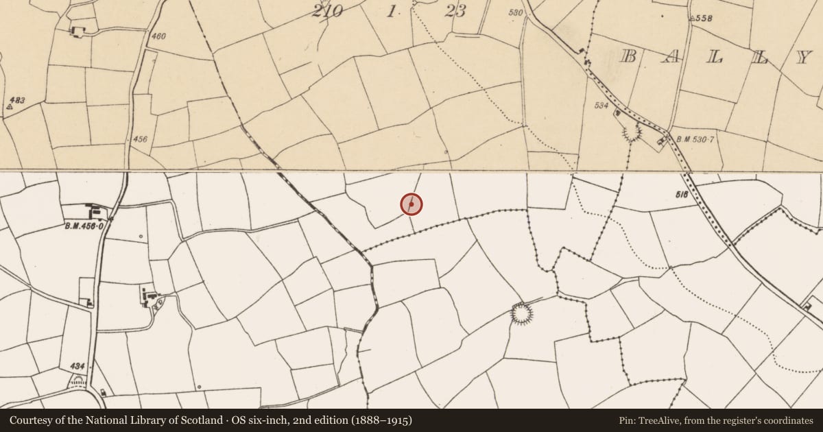 Ordnance Survey six-inch map, 2nd edition (1888–1915) covering the location of Fulacht fia, Monalahy, County Cork, with a pin at the register's coordinates