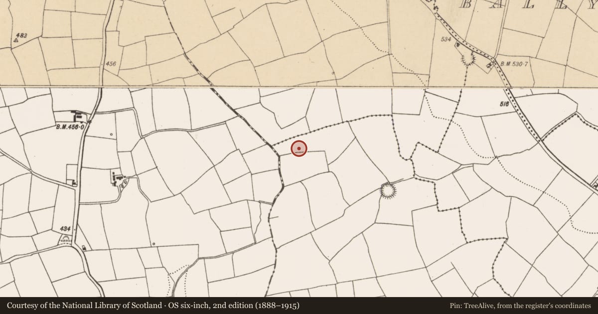 Ordnance Survey six-inch map, 2nd edition (1888–1915) covering the location of Fulacht fia, Ballyfadeen Beg, County Cork, with a pin at the register's coordinates