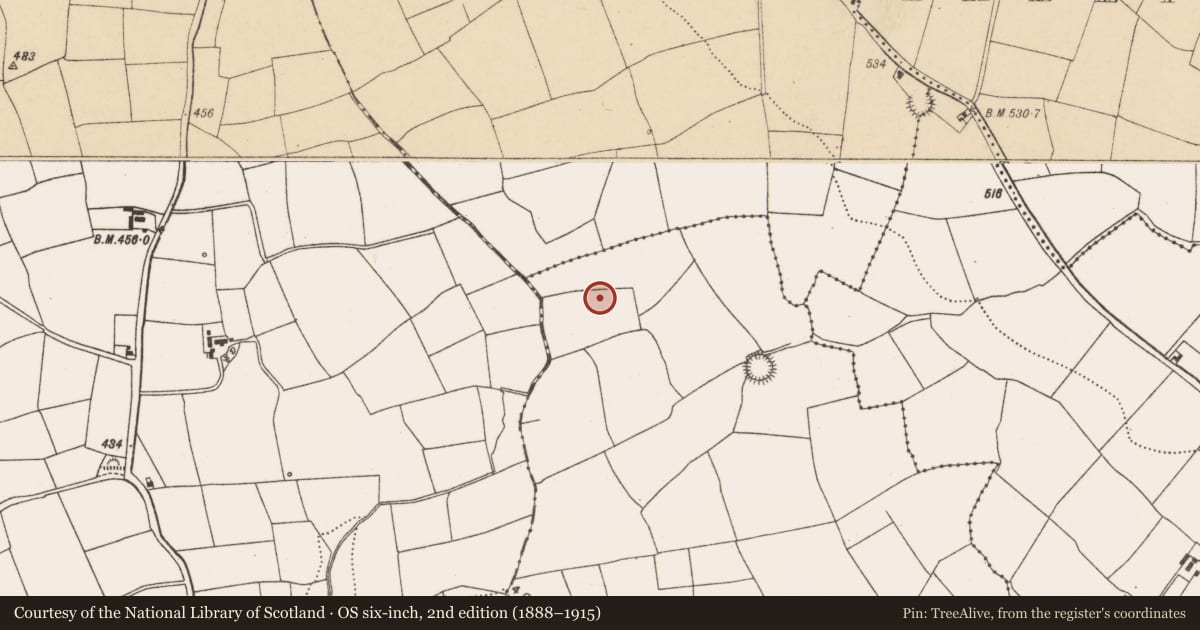 Ordnance Survey six-inch map, 2nd edition (1888–1915) covering the location of Fulacht fia, Ballyfadeen Beg, County Cork, with a pin at the register's coordinates