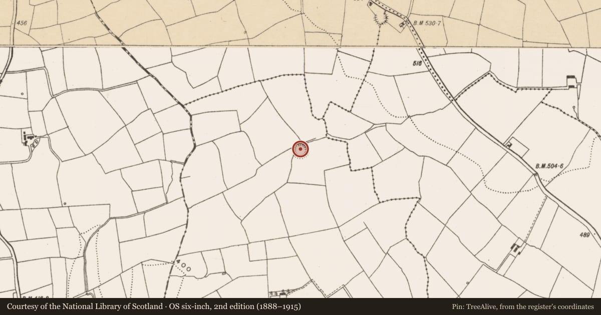 Ordnance Survey six-inch map, 2nd edition (1888–1915) covering the location of Ringfort - rath, Ballyfadeen Beg, County Cork, with a pin at the register's coordinates