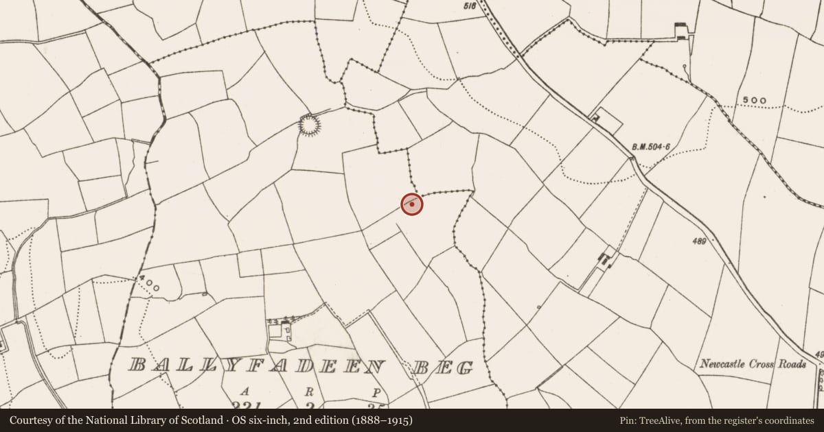 Ordnance Survey six-inch map, 2nd edition (1888–1915) covering the location of Fulacht fia, Ballyfadeen Beg, County Cork, with a pin at the register's coordinates