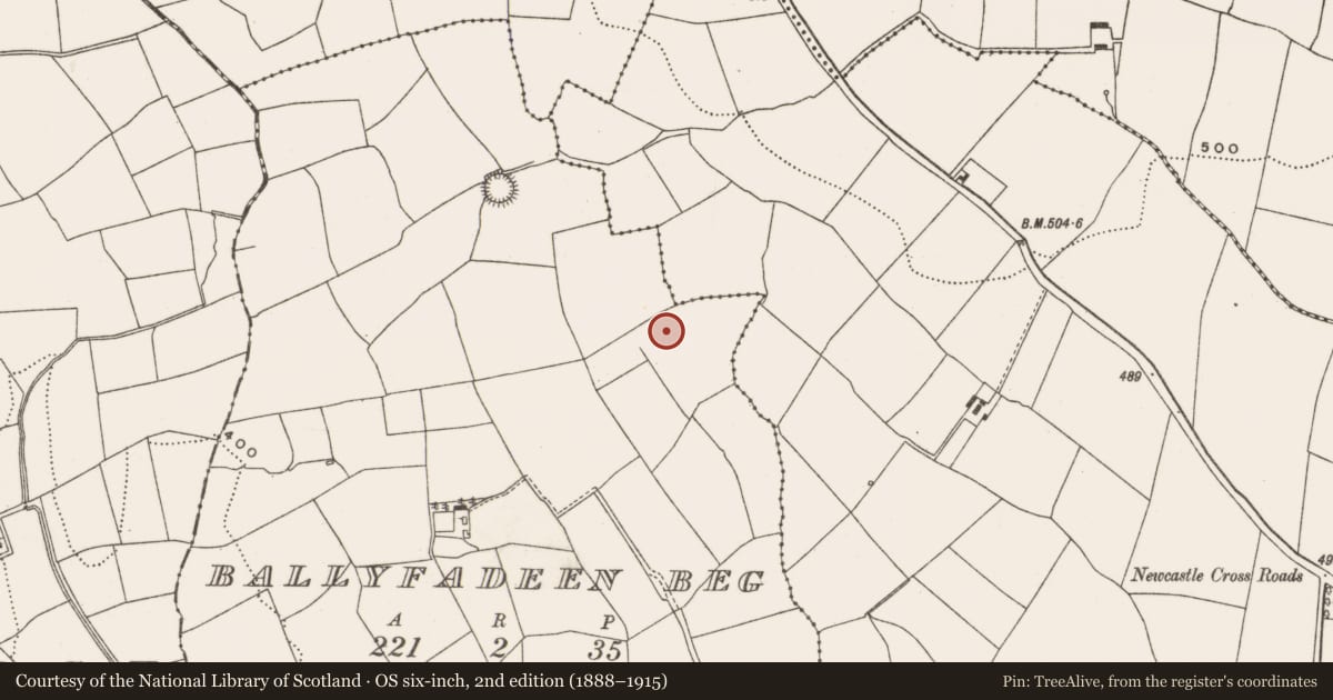 Ordnance Survey six-inch map, 2nd edition (1888–1915) covering the location of Fulacht fia, Ballyfadeen Beg, County Cork, with a pin at the register's coordinates
