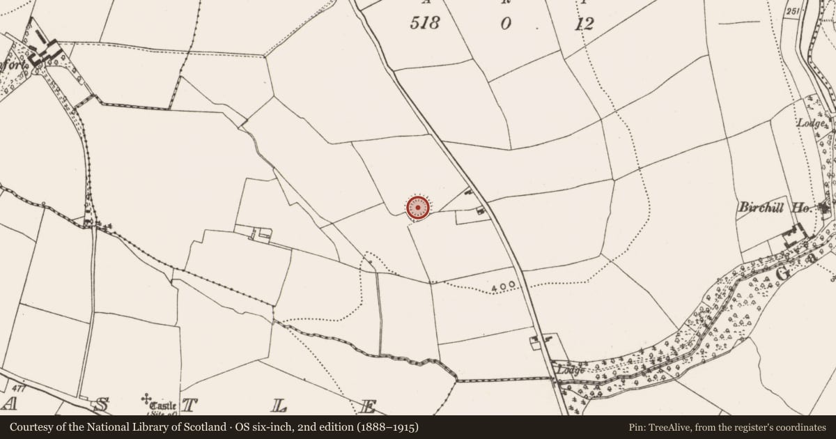 Ordnance Survey six-inch map, 2nd edition (1888–1915) covering the location of Ringfort - rath, Knocknabehy, County Cork, with a pin at the register's coordinates