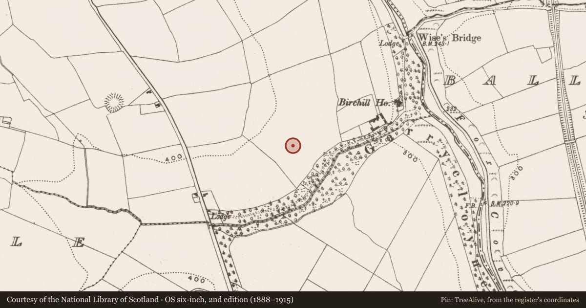 Ordnance Survey six-inch map, 2nd edition (1888–1915) covering the location of Standing stone, Knocknabehy, County Cork, with a pin at the register's coordinates