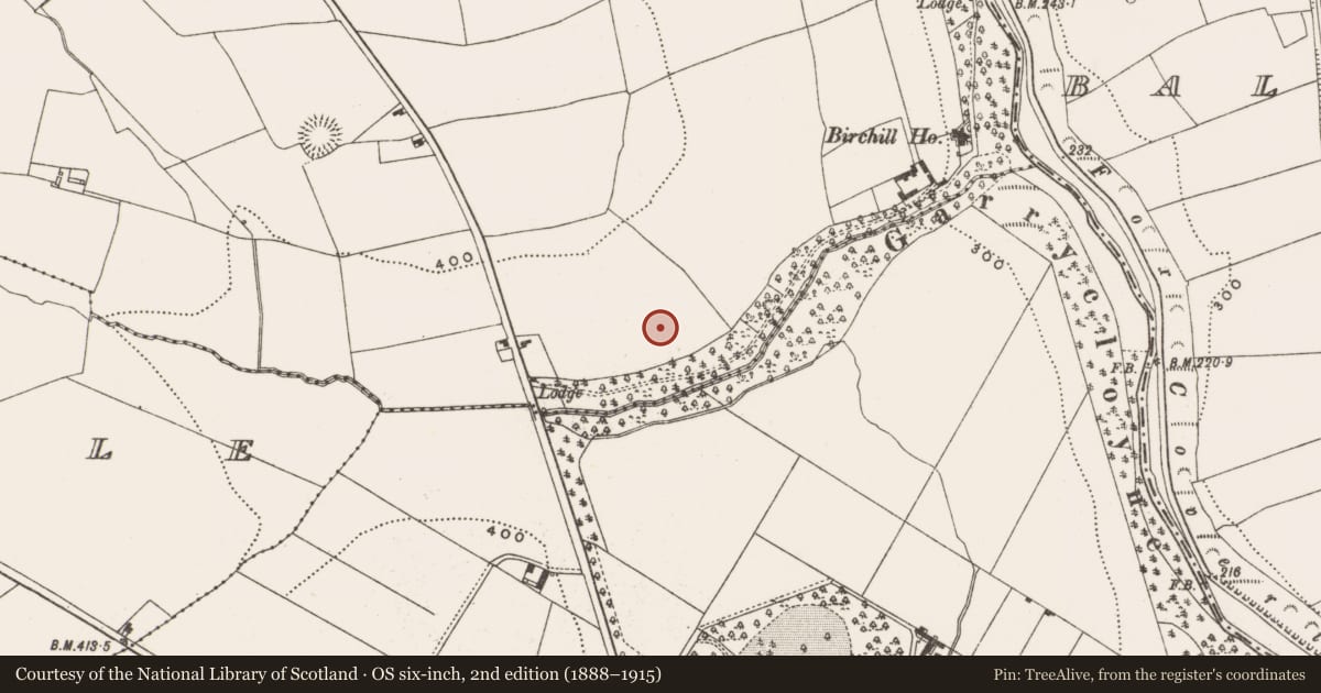 Ordnance Survey six-inch map, 2nd edition (1888–1915) covering the location of Standing stone, Knocknabehy, County Cork, with a pin at the register's coordinates