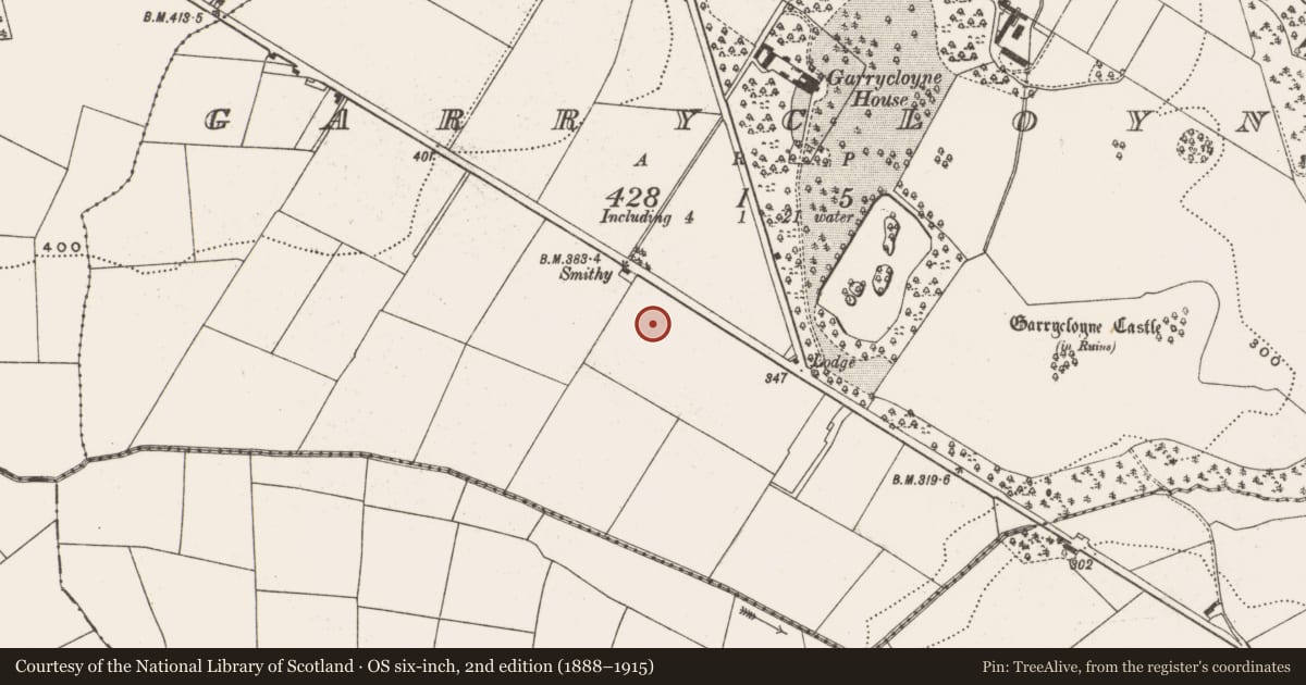 Ordnance Survey six-inch map, 2nd edition (1888–1915) covering the location of Standing stone, Garrycloyne, County Cork, with a pin at the register's coordinates