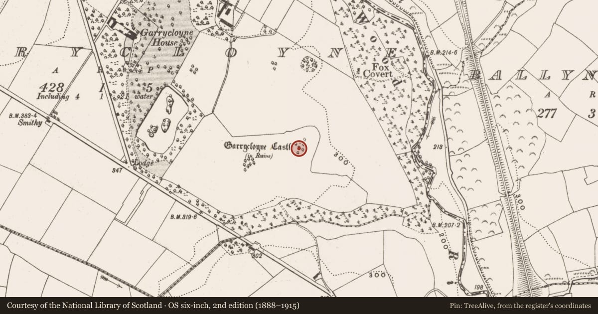 Ordnance Survey six-inch map, 2nd edition (1888–1915) covering the location of Castle - tower house, Garrycloyne, County Cork, with a pin at the register's coordinates