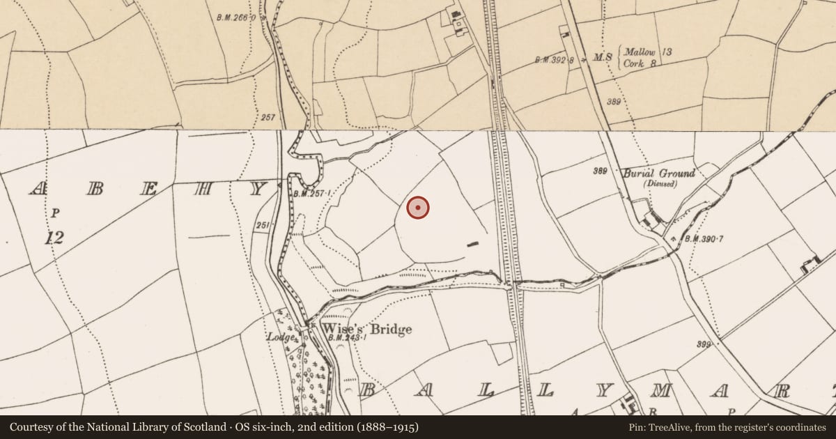 Ordnance Survey six-inch map, 2nd edition (1888–1915) covering the location of Standing stone, Kilmona, County Cork, with a pin at the register's coordinates