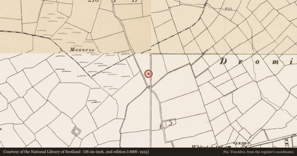 Ordnance Survey six-inch map, 2nd edition (1888–1915) covering the location of Standing stone, Farranastig, County Cork, with a pin at the register's coordinates