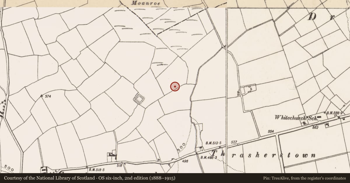 Ordnance Survey six-inch map, 2nd edition (1888–1915) covering the location of Fulacht fia, Farranastig, County Cork, with a pin at the register's coordinates