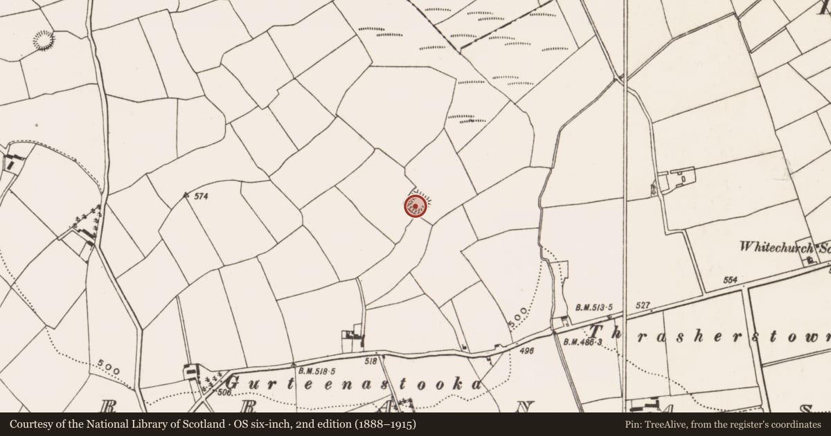 Ordnance Survey six-inch map, 2nd edition (1888–1915) covering the location of Enclosure, Farranastig, County Cork, with a pin at the register's coordinates