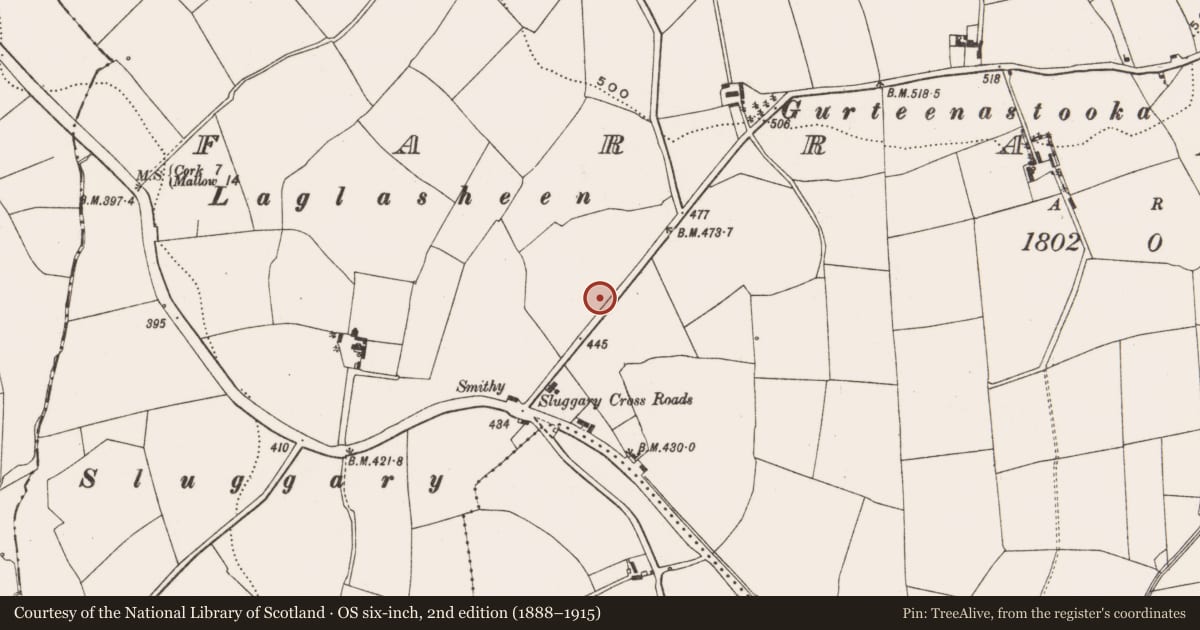Ordnance Survey six-inch map, 2nd edition (1888–1915) covering the location of Ringfort - rath, Farranastig, County Cork, with a pin at the register's coordinates