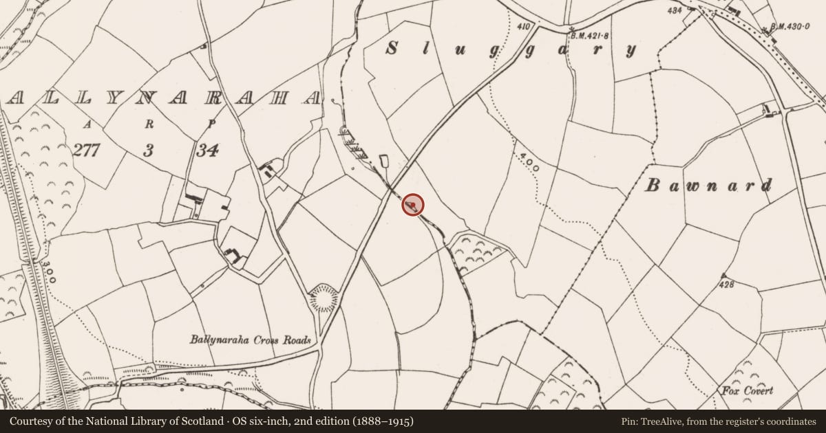 Ordnance Survey six-inch map, 2nd edition (1888–1915) covering the location of Fulacht fia, Farranastig, County Cork, with a pin at the register's coordinates