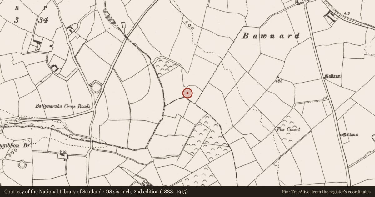 Ordnance Survey six-inch map, 2nd edition (1888–1915) covering the location of Fulacht fia, Farranastig, County Cork, with a pin at the register's coordinates