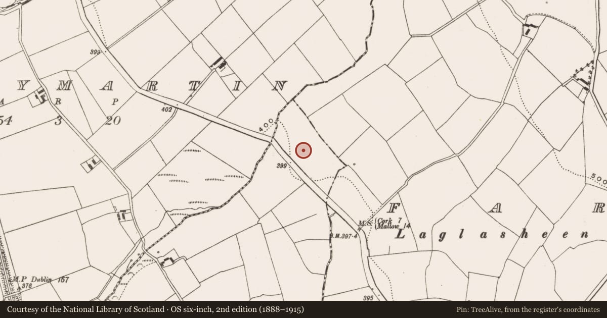 Ordnance Survey six-inch map, 2nd edition (1888–1915) covering the location of Ringfort - rath, Ballynaraha, County Cork, with a pin at the register's coordinates