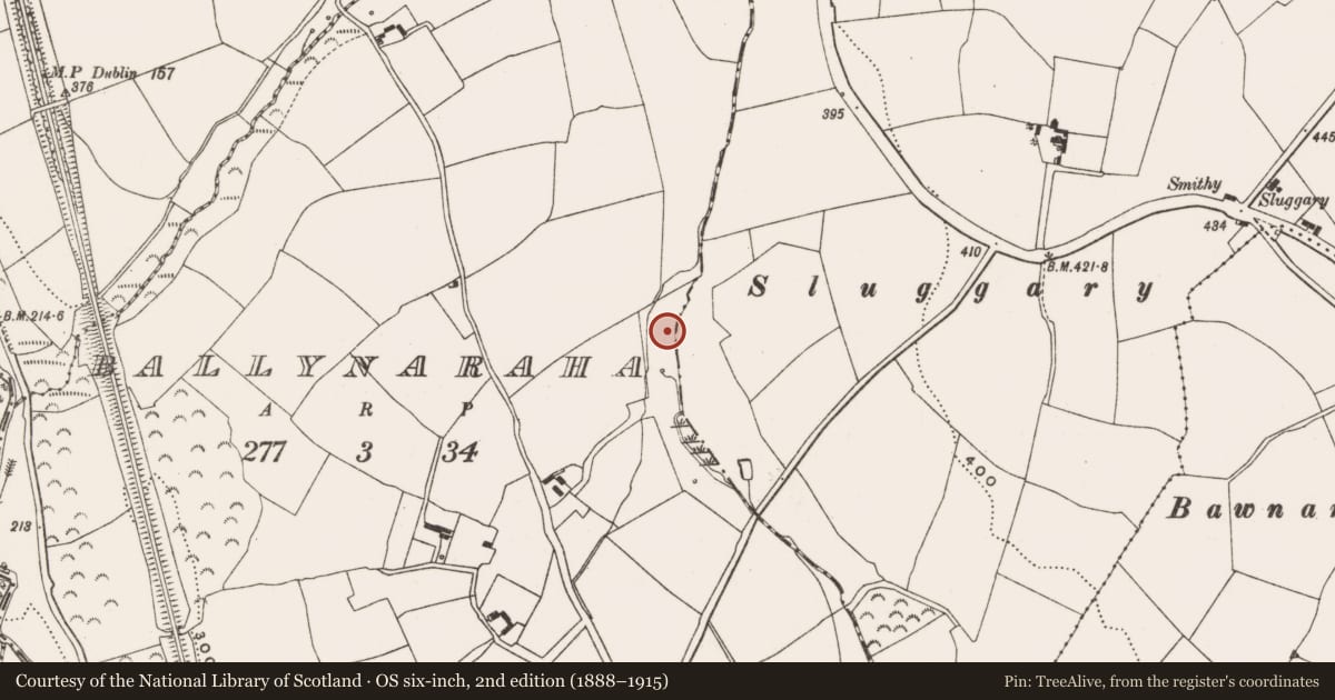 Ordnance Survey six-inch map, 2nd edition (1888–1915) covering the location of Fulacht fia, Ballynaraha, County Cork, with a pin at the register's coordinates