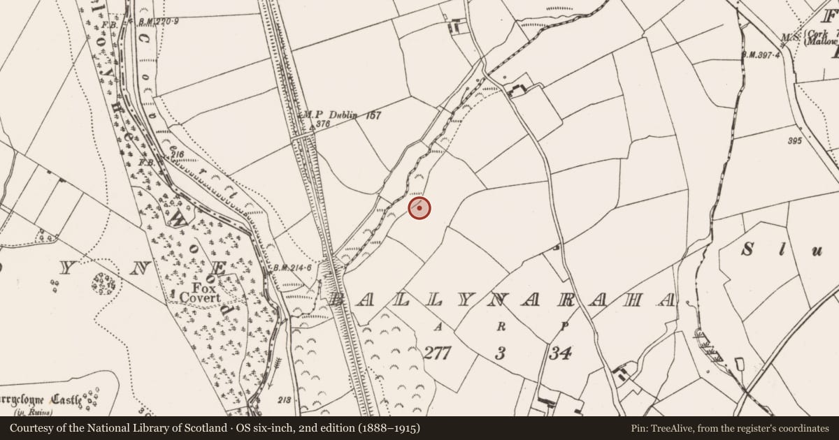 Ordnance Survey six-inch map, 2nd edition (1888–1915) covering the location of Ringfort - rath, Ballynaraha, County Cork, with a pin at the register's coordinates