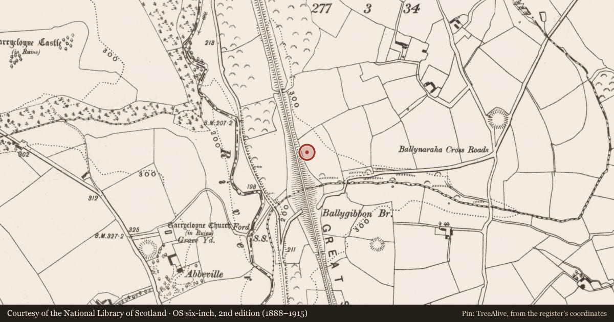 Ordnance Survey six-inch map, 2nd edition (1888–1915) covering the location of Standing stone, Ballynaraha, County Cork, with a pin at the register's coordinates
