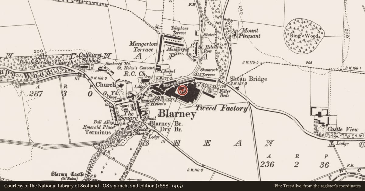 Ordnance Survey six-inch map, 2nd edition (1888–1915) covering the location of Mill - woollen, Monacnapa, Shean Lower, County Cork, with a pin at the register's coordinates