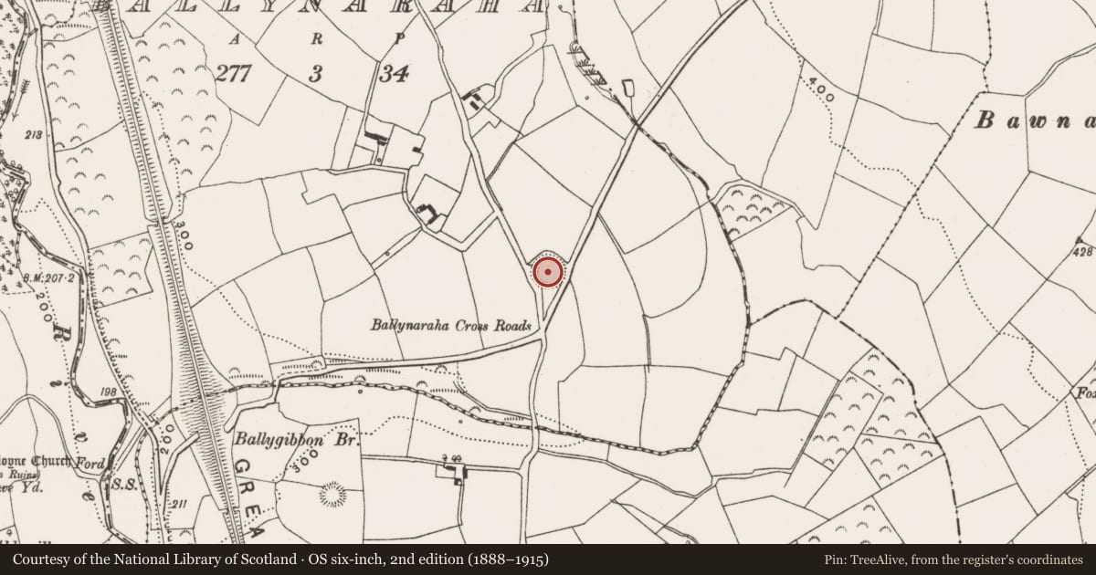 Ordnance Survey six-inch map, 2nd edition (1888–1915) covering the location of Ringfort - rath, Ballynaraha, County Cork, with a pin at the register's coordinates
