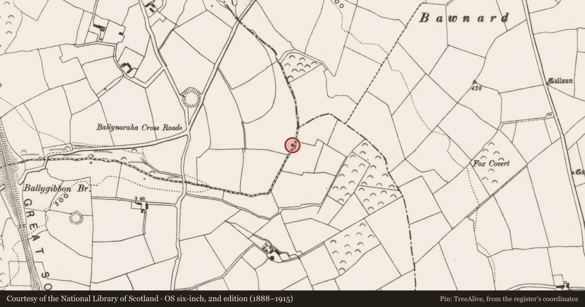 Ordnance Survey six-inch map, 2nd edition (1888–1915) covering the location of Fulacht fia, Ballynaraha, County Cork, with a pin at the register's coordinates