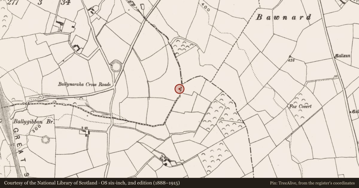 Ordnance Survey six-inch map, 2nd edition (1888–1915) covering the location of Fulacht fia, Ballynaraha, County Cork, with a pin at the register's coordinates