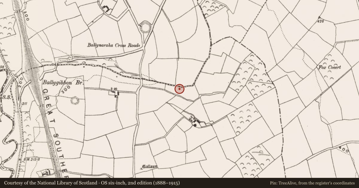 Ordnance Survey six-inch map, 2nd edition (1888–1915) covering the location of Fulacht fia, Ballygibbon, County Cork, with a pin at the register's coordinates