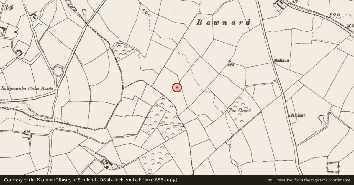 Ordnance Survey six-inch map, 2nd edition (1888–1915) covering the location of Fulacht fia, Coolowen, County Cork, with a pin at the register's coordinates