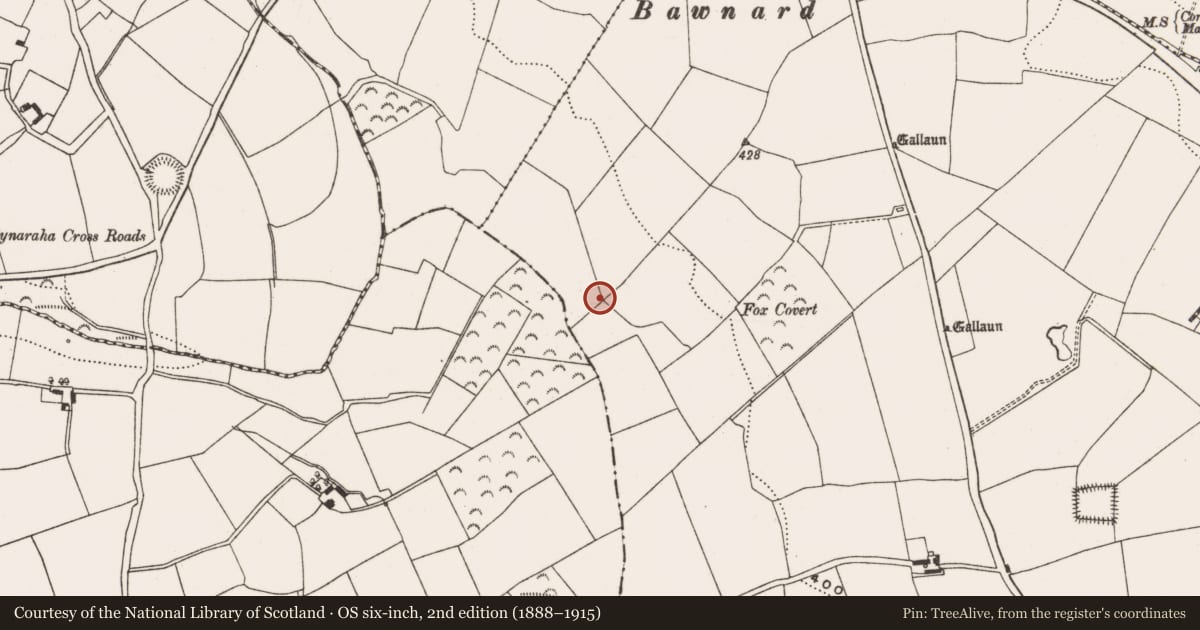 Ordnance Survey six-inch map, 2nd edition (1888–1915) covering the location of Fulacht fia, Coolowen, County Cork, with a pin at the register's coordinates