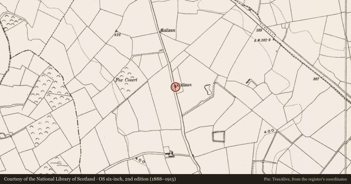 Ordnance Survey six-inch map, 2nd edition (1888–1915) covering the location of Standing stone, Coolowen, County Cork, with a pin at the register's coordinates