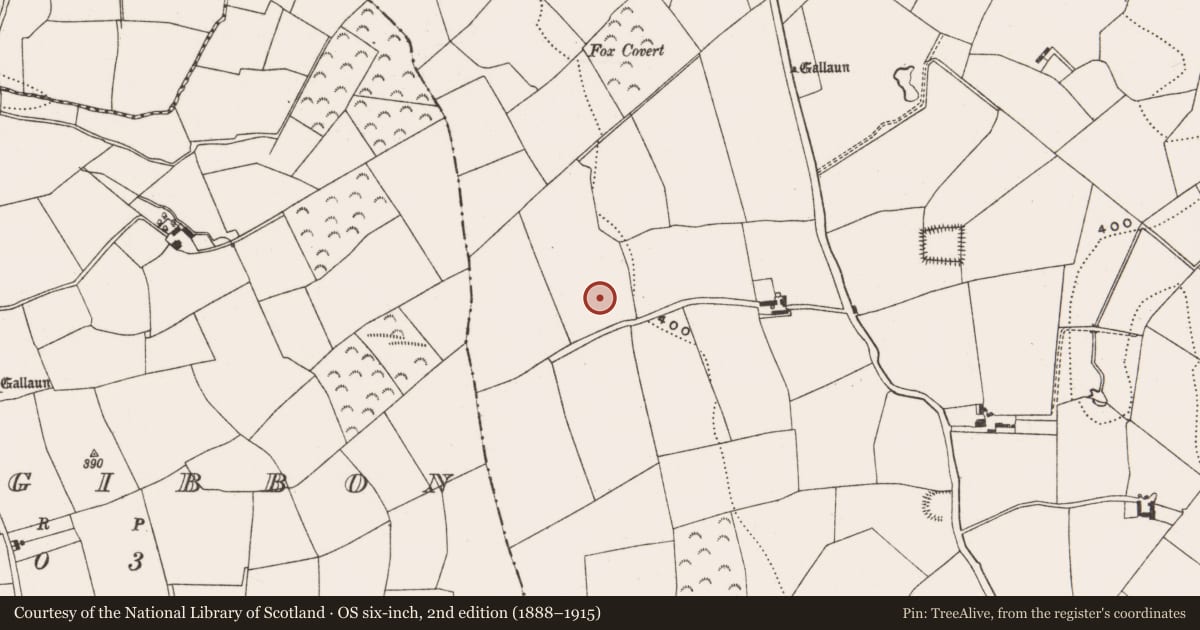 Ordnance Survey six-inch map, 2nd edition (1888–1915) covering the location of Fulacht fia, Coolowen, County Cork, with a pin at the register's coordinates