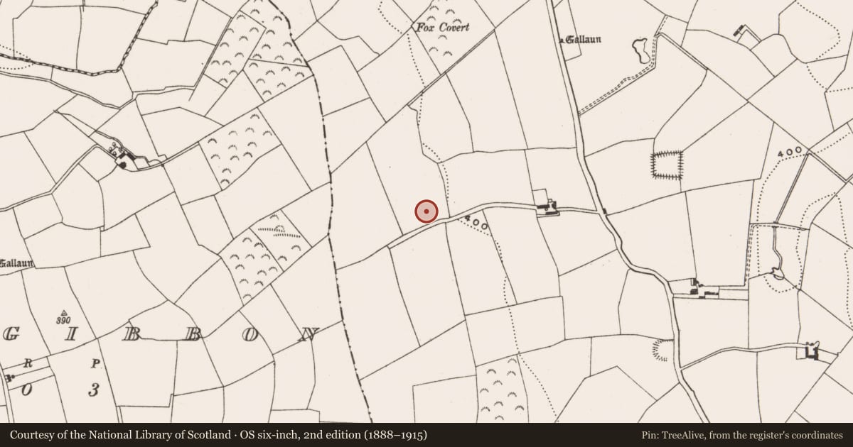 Ordnance Survey six-inch map, 2nd edition (1888–1915) covering the location of Fulacht fia, Coolowen, County Cork, with a pin at the register's coordinates
