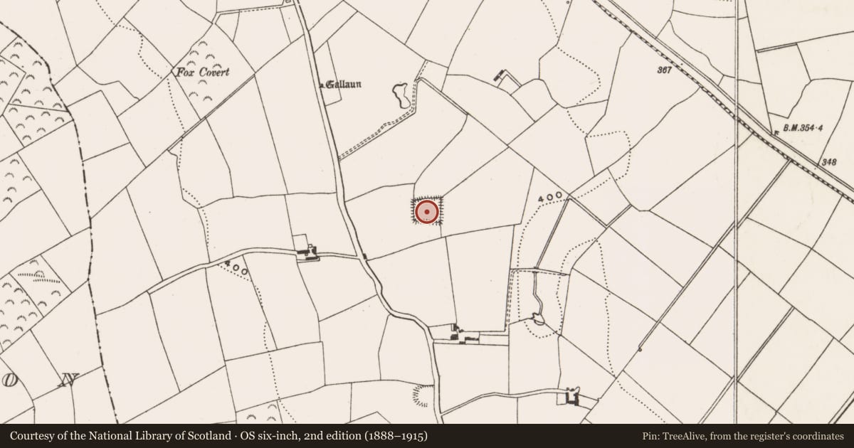 Ordnance Survey six-inch map, 2nd edition (1888–1915) covering the location of Moated site, Coolowen, County Cork, with a pin at the register's coordinates