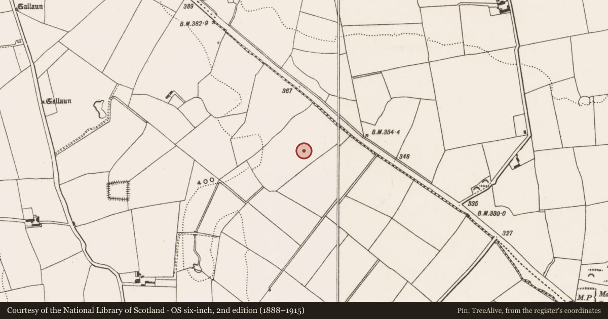 Ordnance Survey six-inch map, 2nd edition (1888–1915) covering the location of Standing stone, Coolowen, County Cork, with a pin at the register's coordinates