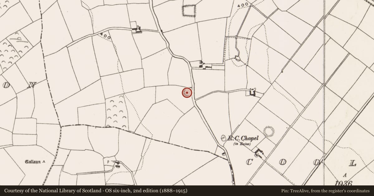 Ordnance Survey six-inch map, 2nd edition (1888–1915) covering the location of Ringfort - rath, Coolowen, County Cork, with a pin at the register's coordinates