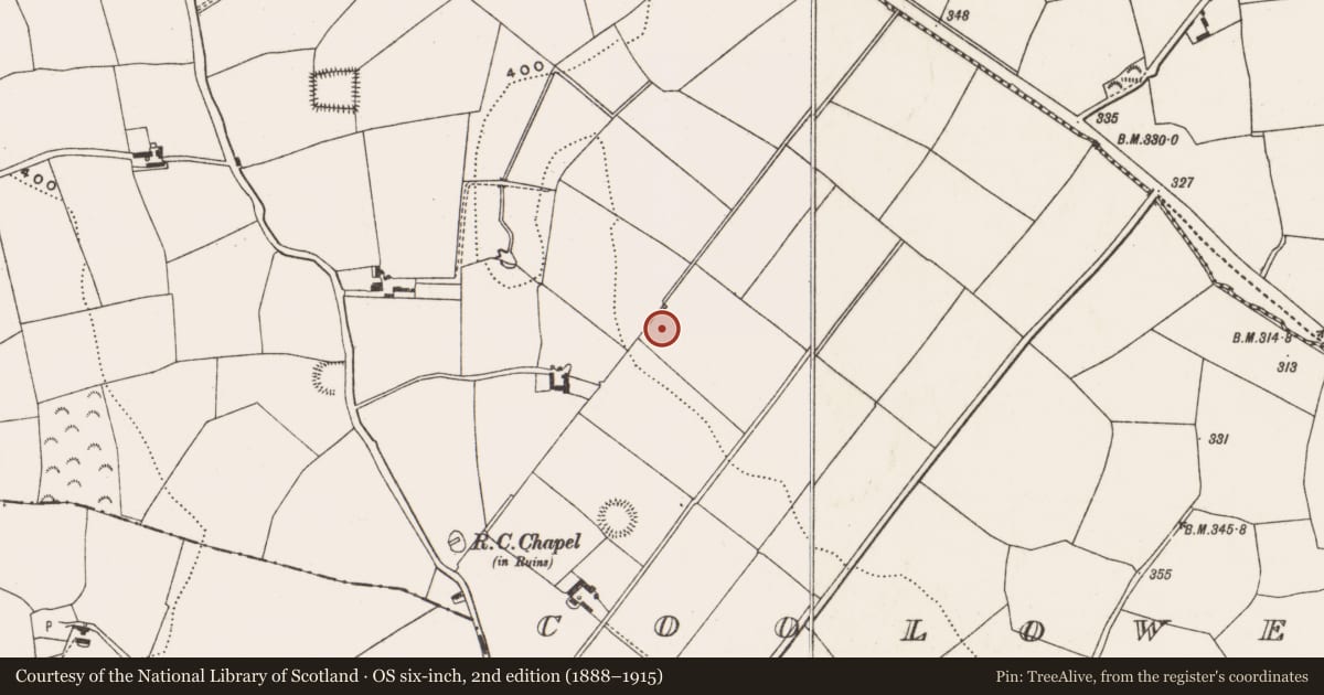 Ordnance Survey six-inch map, 2nd edition (1888–1915) covering the location of Standing stone, Coolowen, County Cork, with a pin at the register's coordinates