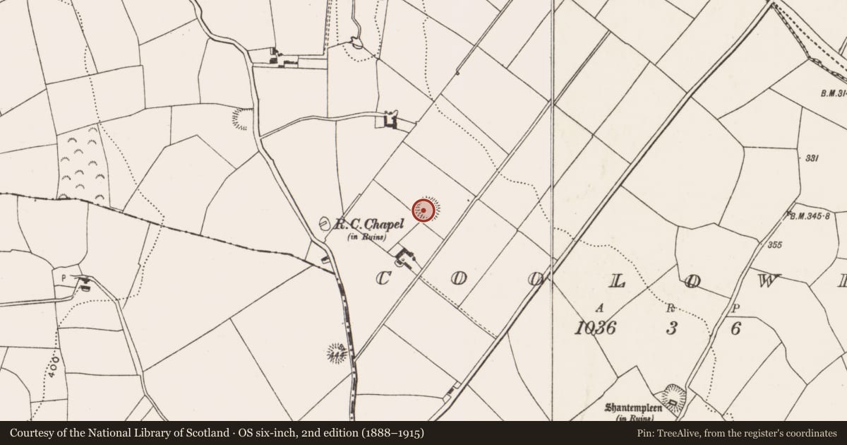 Ordnance Survey six-inch map, 2nd edition (1888–1915) covering the location of Ringfort - rath, Coolowen, County Cork, with a pin at the register's coordinates
