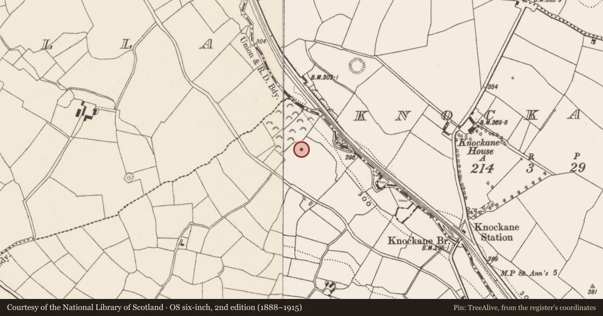 Ordnance Survey six-inch map, 2nd edition (1888–1915) covering the location of Standing stone, Kilclogh, County Cork, with a pin at the register's coordinates