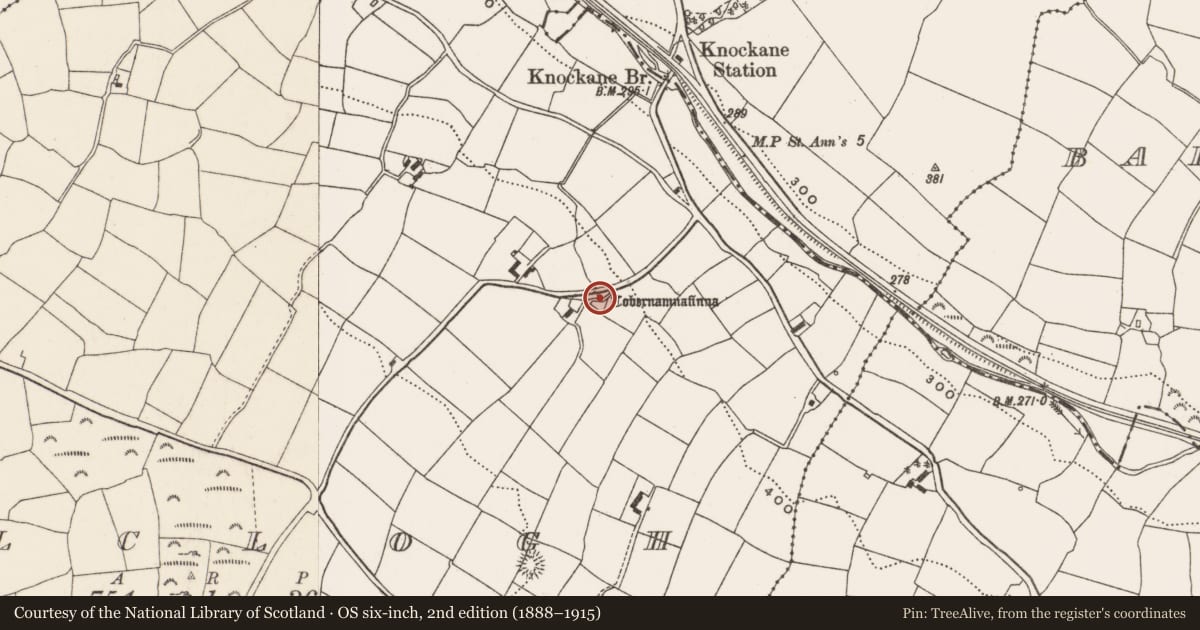 Ordnance Survey six-inch map, 2nd edition (1888–1915) covering the location of Ritual site - holy well, Kilclogh, County Cork, with a pin at the register's coordinates