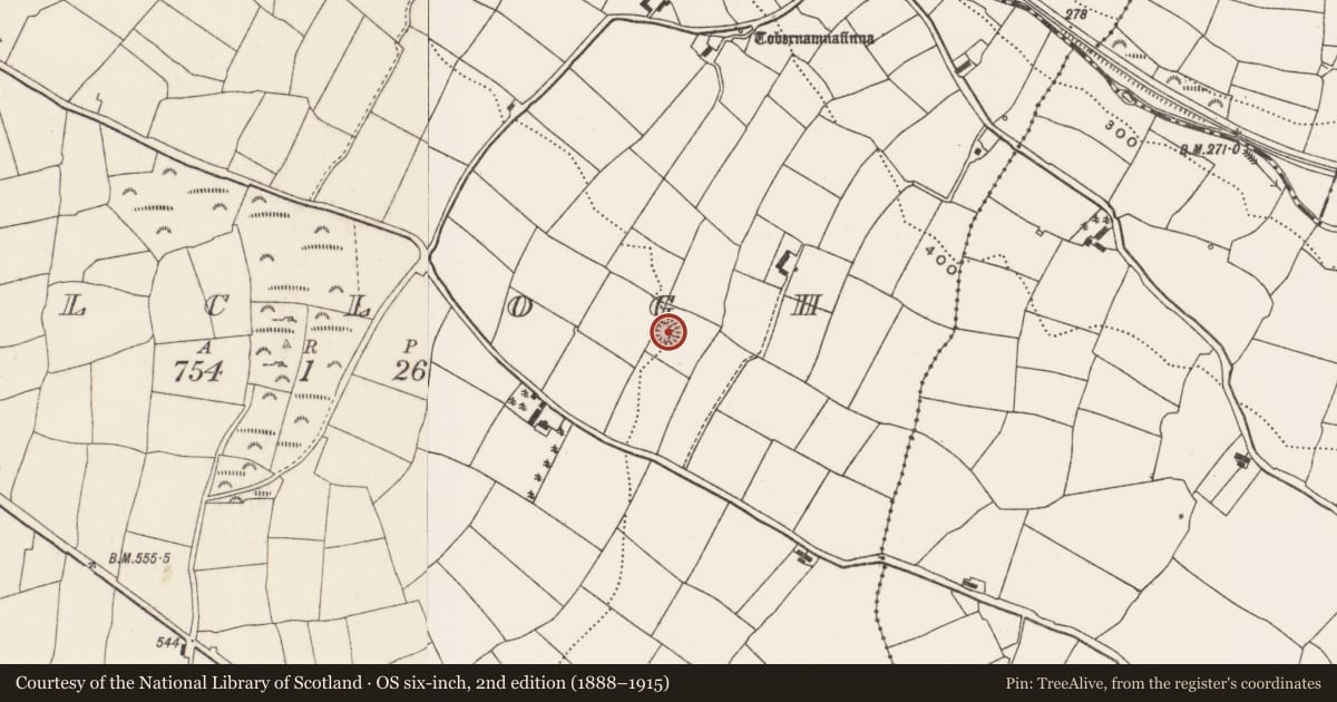 Ordnance Survey six-inch map, 2nd edition (1888–1915) covering the location of Ringfort - rath, Kilclogh, County Cork, with a pin at the register's coordinates