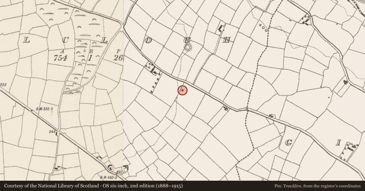 Ordnance Survey six-inch map, 2nd edition (1888–1915) covering the location of Ringfort - rath, Kilclogh, County Cork, with a pin at the register's coordinates