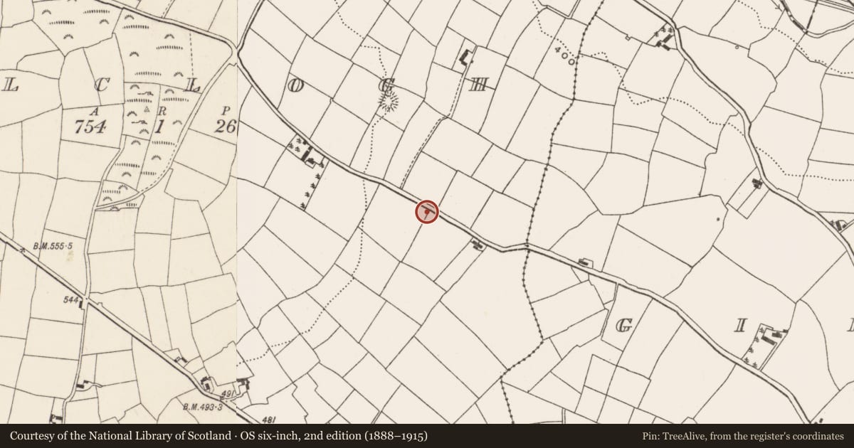 Ordnance Survey six-inch map, 2nd edition (1888–1915) covering the location of Barrow - ring-barrow, Kilclogh, County Cork, with a pin at the register's coordinates