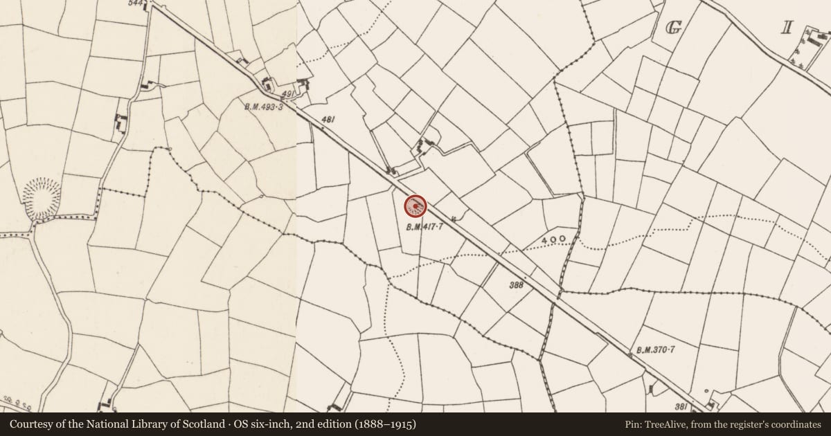 Ordnance Survey six-inch map, 2nd edition (1888–1915) covering the location of Ringfort - rath, Kilclogh, County Cork, with a pin at the register's coordinates