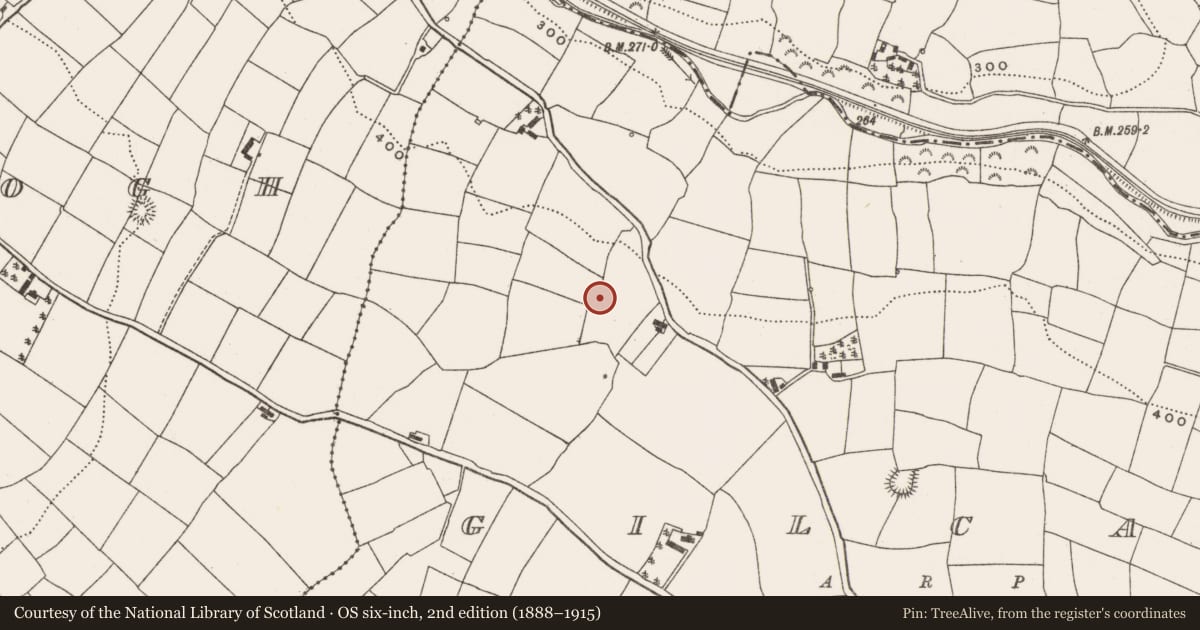 Ordnance Survey six-inch map, 2nd edition (1888–1915) covering the location of Ringfort - rath, Gilcagh, County Cork, with a pin at the register's coordinates