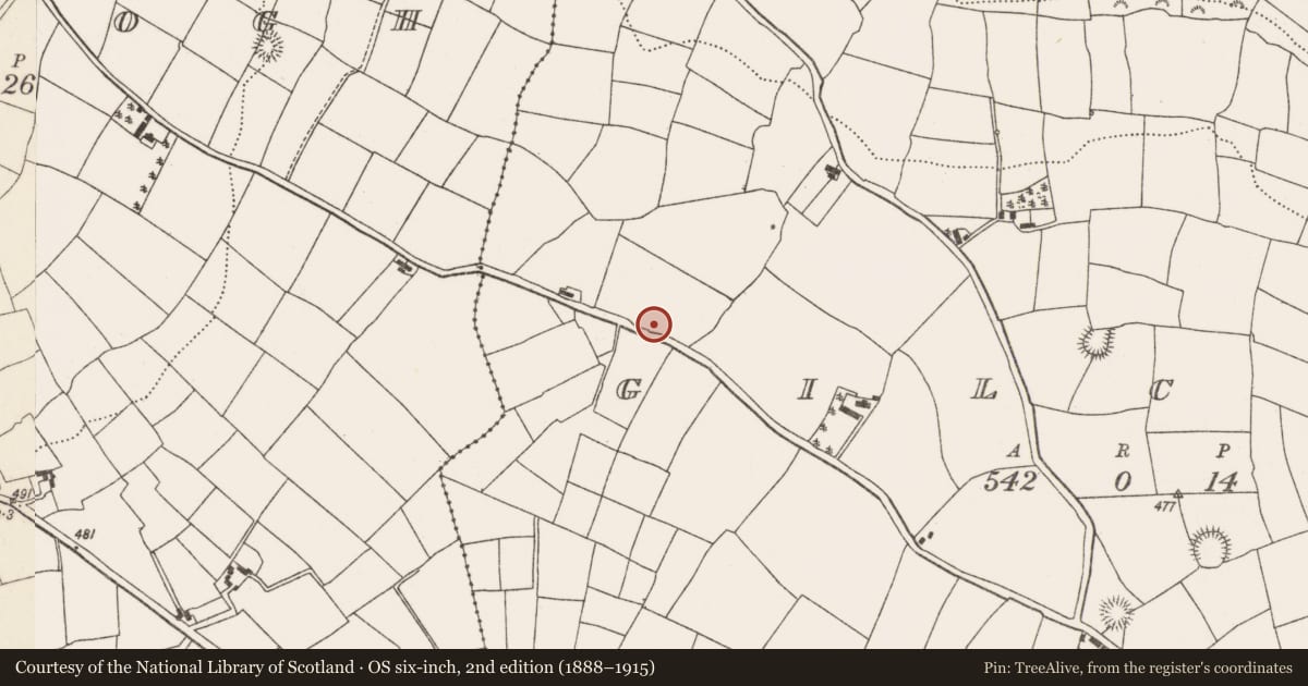 Ordnance Survey six-inch map, 2nd edition (1888–1915) covering the location of Standing stone, Gilcagh, County Cork, with a pin at the register's coordinates