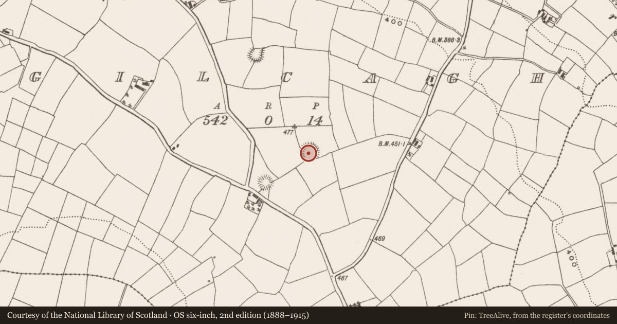 Ordnance Survey six-inch map, 2nd edition (1888–1915) covering the location of Ringfort - rath, Gilcagh, County Cork, with a pin at the register's coordinates