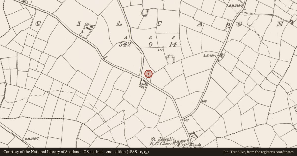 Ordnance Survey six-inch map, 2nd edition (1888–1915) covering the location of Ringfort - rath, Gilcagh, County Cork, with a pin at the register's coordinates